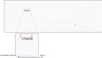 CTAG1B Antibody in Peptide array (ARRAY)