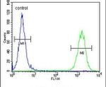 CTDSPL2 Antibody in Flow Cytometry (Flow)