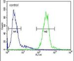 Cathepsin H Antibody in Flow Cytometry (Flow)