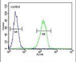 Cathepsin S Antibody in Flow Cytometry (Flow)