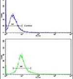 Cullin 5 Antibody in Flow Cytometry (Flow)