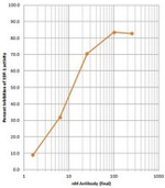 CXCR4 Antibody in Inhibition Assays (Inhibition)