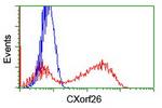 CXorf26 Antibody in Flow Cytometry (Flow)