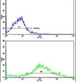 CYP20A1 Antibody in Flow Cytometry (Flow)