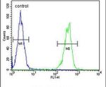 CYP2A7 Antibody in Flow Cytometry (Flow)