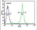 Calponin 3 Antibody in Flow Cytometry (Flow)