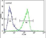 Calponin 3 Antibody in Flow Cytometry (Flow)