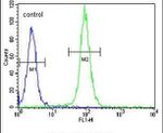 DAAM1 Antibody in Flow Cytometry (Flow)