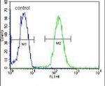 DACT1 Antibody in Flow Cytometry (Flow)