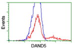 DAND5 Antibody in Flow Cytometry (Flow)