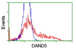 DAND5 Antibody in Flow Cytometry (Flow)