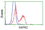 DAPK2 Antibody in Flow Cytometry (Flow)