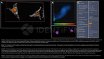 H2AX SRM Antibody in Immunocytochemistry (ICC/IF)