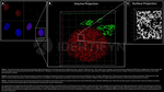 H2AX SRM Antibody in Immunocytochemistry (ICC/IF)