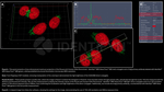 H2AX SRM Antibody in Immunocytochemistry (ICC/IF)
