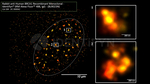 BRCA1 Antibody in Immunocytochemistry (ICC/IF)