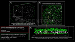 BRCA1 Antibody in Immunocytochemistry (ICC/IF)