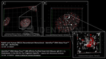 BRCA1 Antibody in Immunocytochemistry (ICC/IF)