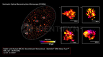 BRCA1 Antibody in Immunocytochemistry (ICC/IF)