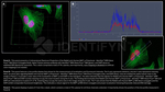 BAP1.p SRM Antibody in Immunocytochemistry (ICC/IF)