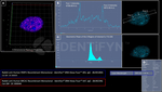 PARP1 Recombinant Rabbit Monoclonal Antibody (BLR018M), Alexa Fluor™ 405, Identifyn™