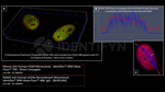 H2Ax Antibody in Immunocytochemistry (ICC/IF)