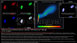 RAD50 Antibody in Immunocytochemistry (ICC/IF)