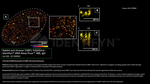 53BP1 Antibody in Immunocytochemistry (ICC/IF)