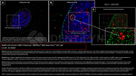 53BP1 Antibody in Immunocytochemistry (ICC/IF)