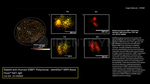 53BP1 Antibody in Immunocytochemistry (ICC/IF)
