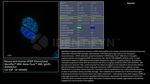 ATRIP Antibody in Immunocytochemistry (ICC/IF)