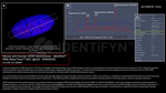 ATRIP Antibody in Immunocytochemistry (ICC/IF)