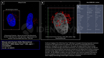 H2Ax Monoclonal Antibody (1H1D9/B7), Alexa Fluor™ 405, Identifyn™