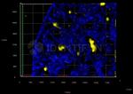gamma-H2AX SRM Recombinant Rabbit Monoclonal Antibody (BLR014M), Alexa Fluor™ 532, Identifyn™
