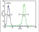 DC13 Antibody in Flow Cytometry (Flow)