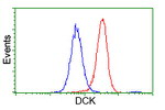 DCK Antibody in Flow Cytometry (Flow)