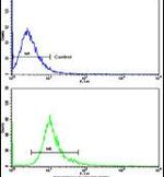 DCXR Antibody in Flow Cytometry (Flow)