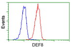 DEF8 Antibody in Flow Cytometry (Flow)
