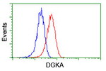 DGKA Antibody in Flow Cytometry (Flow)