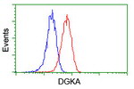 DGKA Antibody in Flow Cytometry (Flow)