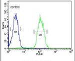 DHRS7 Antibody in Flow Cytometry (Flow)