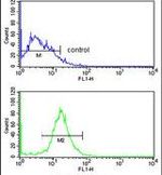 DIRAS1 Antibody in Flow Cytometry (Flow)