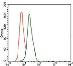 DLL4 Antibody in Flow Cytometry (Flow)