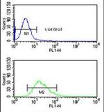 DMC1 Antibody in Flow Cytometry (Flow)