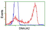 DNAJA2 Antibody in Flow Cytometry (Flow)