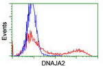 DNAJA2 Antibody in Flow Cytometry (Flow)