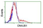 DNAJB1 Antibody in Flow Cytometry (Flow)