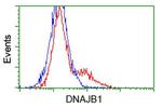 DNAJB1 Antibody in Flow Cytometry (Flow)