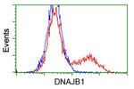 DNAJB1 Antibody in Flow Cytometry (Flow)
