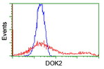 DOK2 Antibody in Flow Cytometry (Flow)